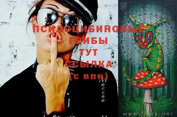 эйфоретик Алексеевка